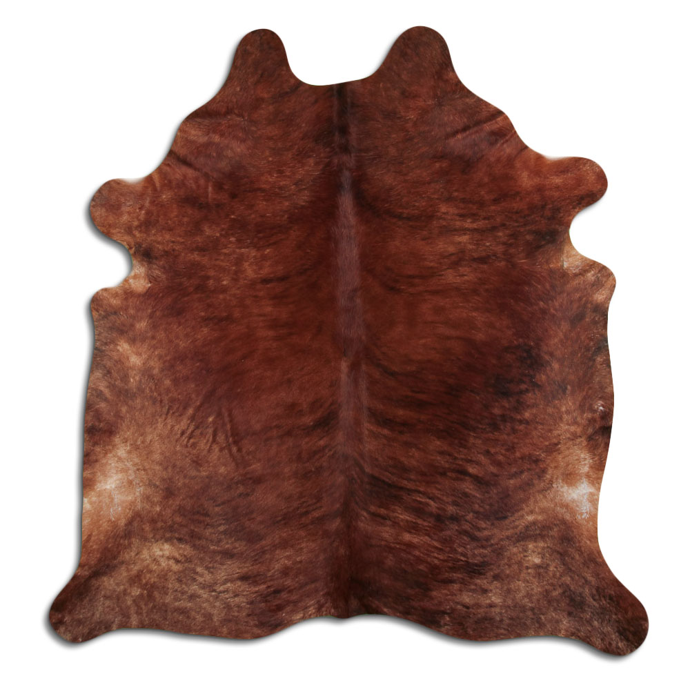 Exot Medium 3 - 4 M Sortierung B