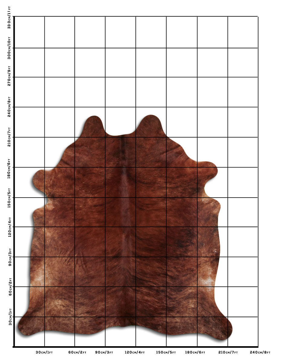 Exotico Medio 3 - 4 M Classe B