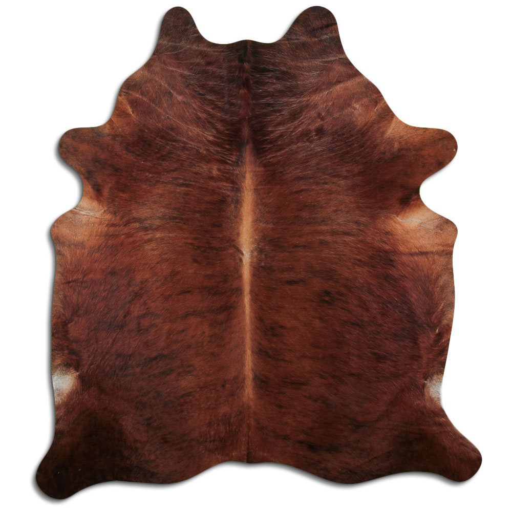 Medium Brindle 3 - 4 M Grade B