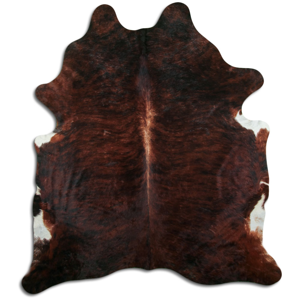 Exotico Medio 4 M/+ Classe A