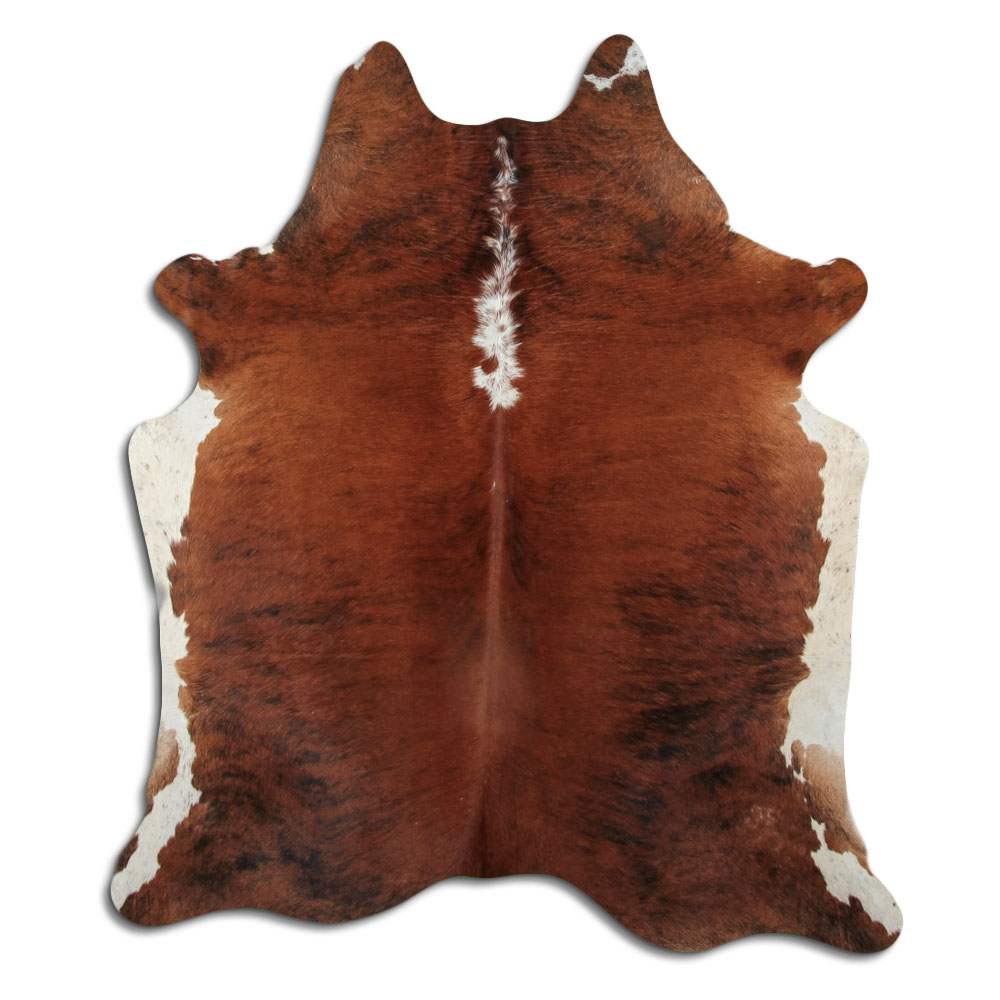 Exotic White Belly Backbone 2 - 3 M Grade B