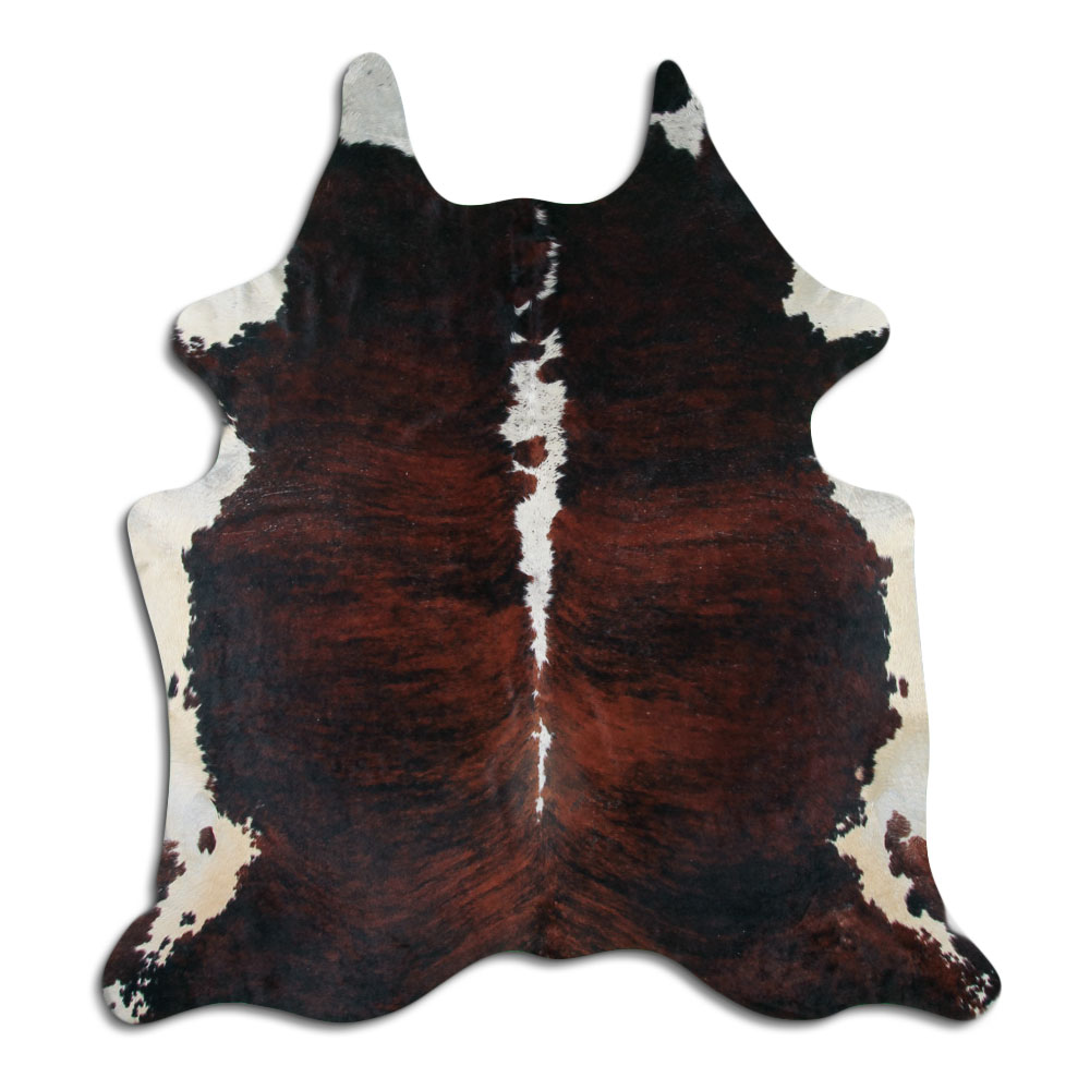 Exotic White Belly Backbone 3 - 4 M Grade A