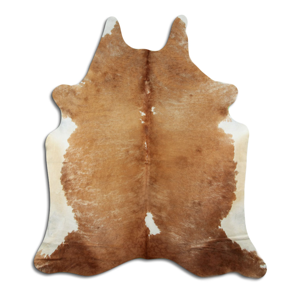Exotic White Belly Backbone 3 - 4 M Grade A