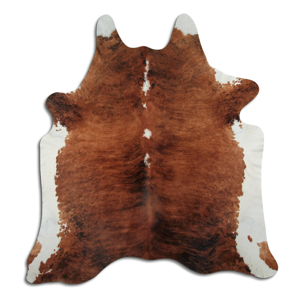 Exotic White Belly Backbone 3 - 4 M Grade A
