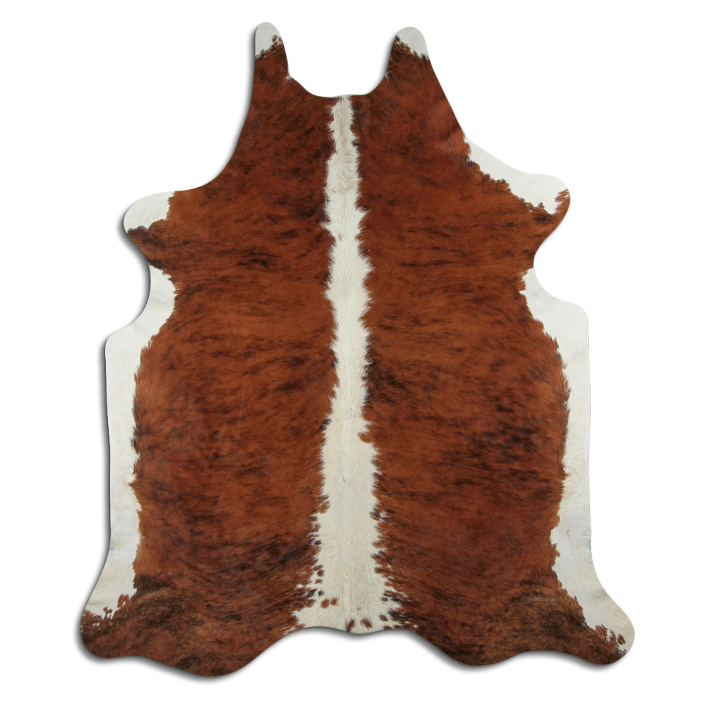 Exotic White Belly Backbone 3 - 4 M Grade A