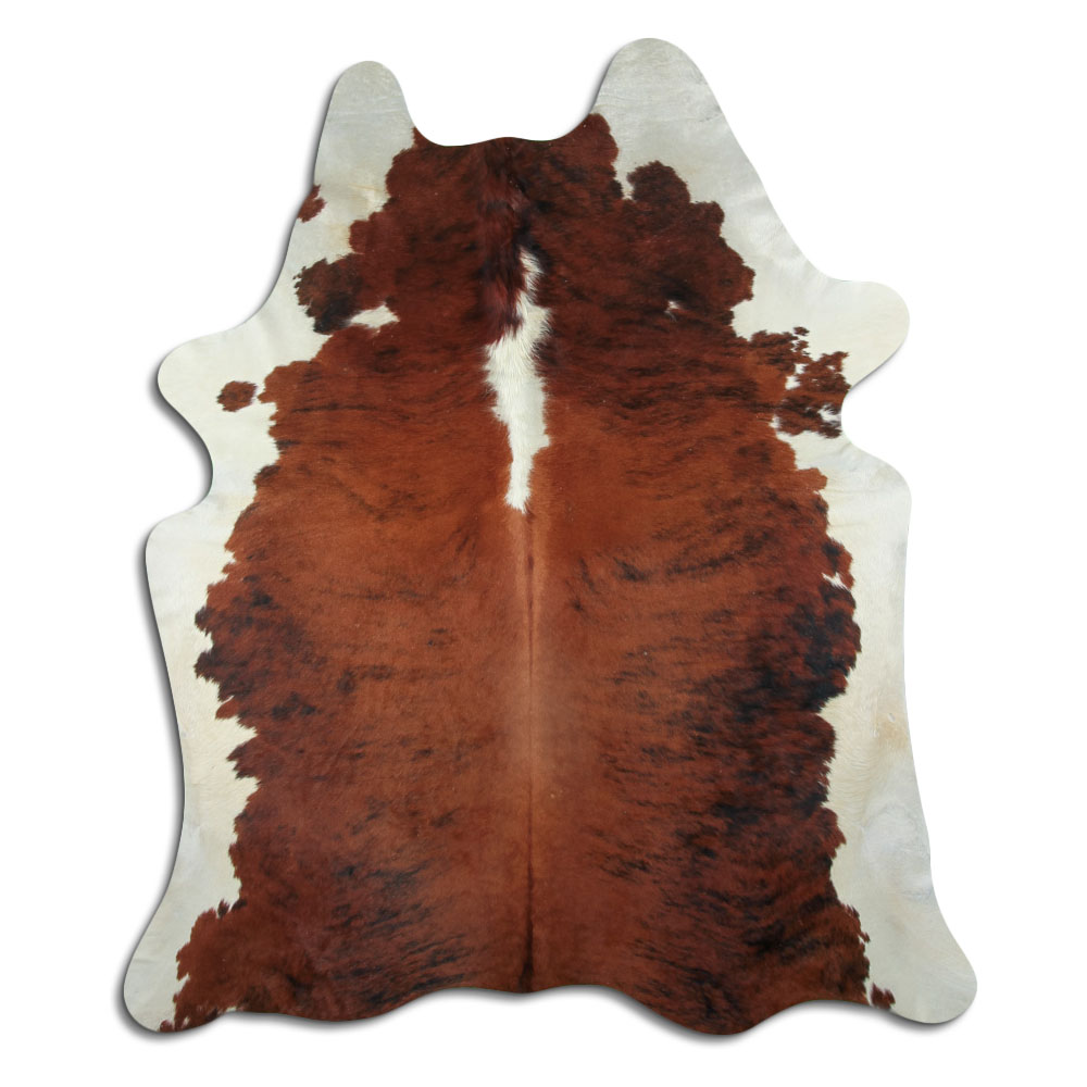 Exotic White Belly Backbone 3 - 4 M Grade A