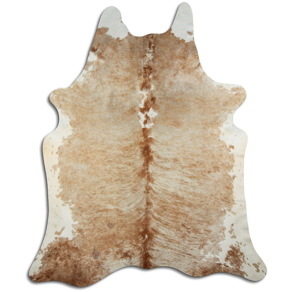 Exotic White Belly Backbone 3 - 4 M Grade A