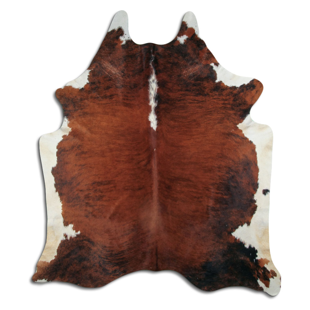 Exotic White Belly Backbone 3 - 4 M Grade A