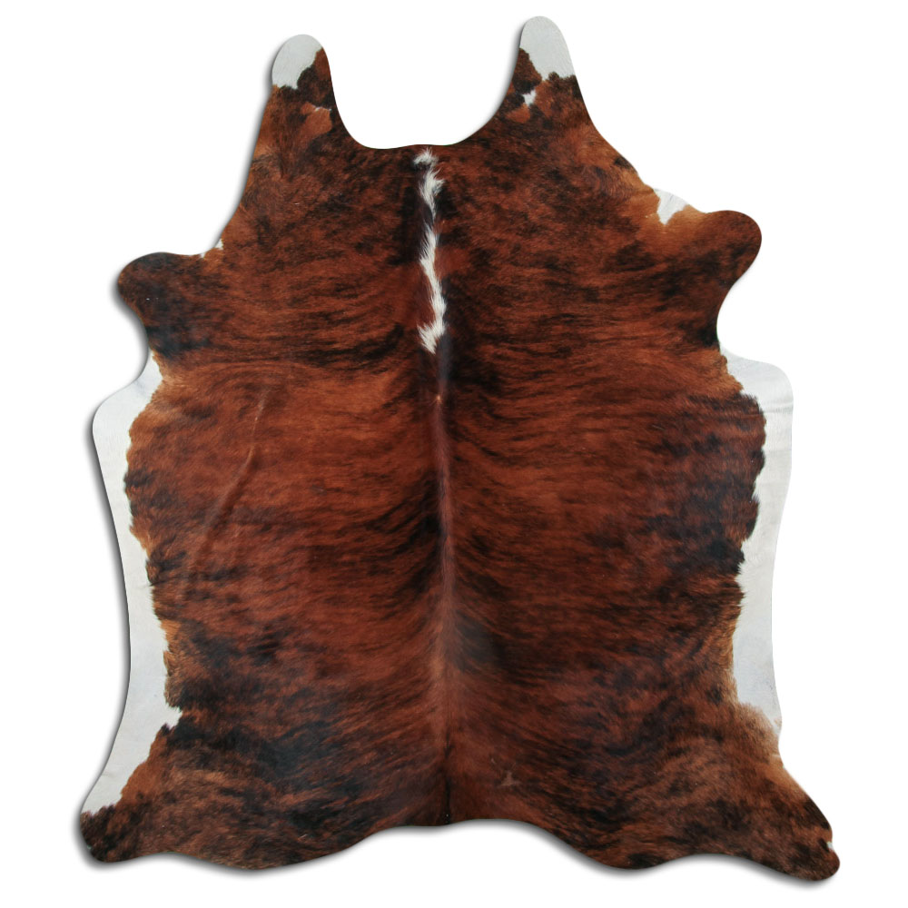 Exotic White Belly Backbone 3 - 4 M Grade A
