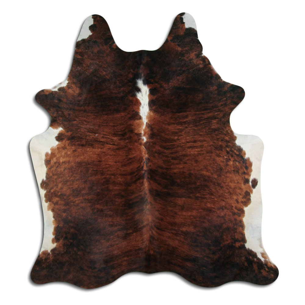 Exotic White Belly Backbone 3 - 4 M Grade A