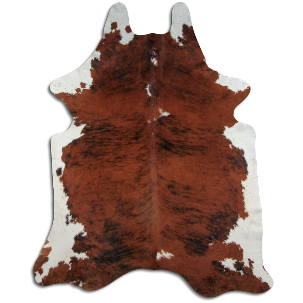 Exotic White Belly Backbone 3 - 4 M Grade A
