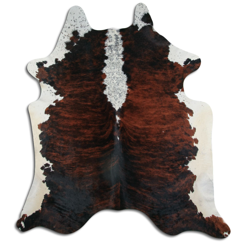 Exotic White Belly Backbone 3 - 4 M Grade A