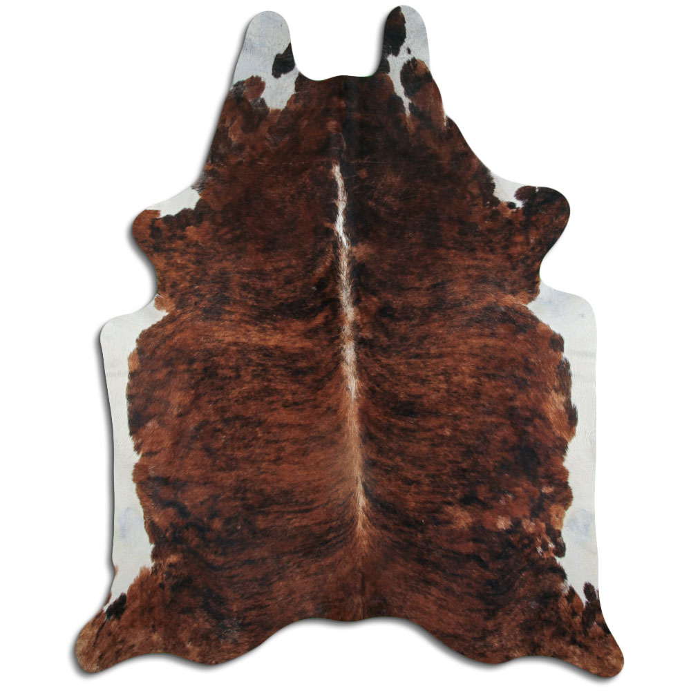 Exotic White Belly Backbone 3 - 4 M Grade A