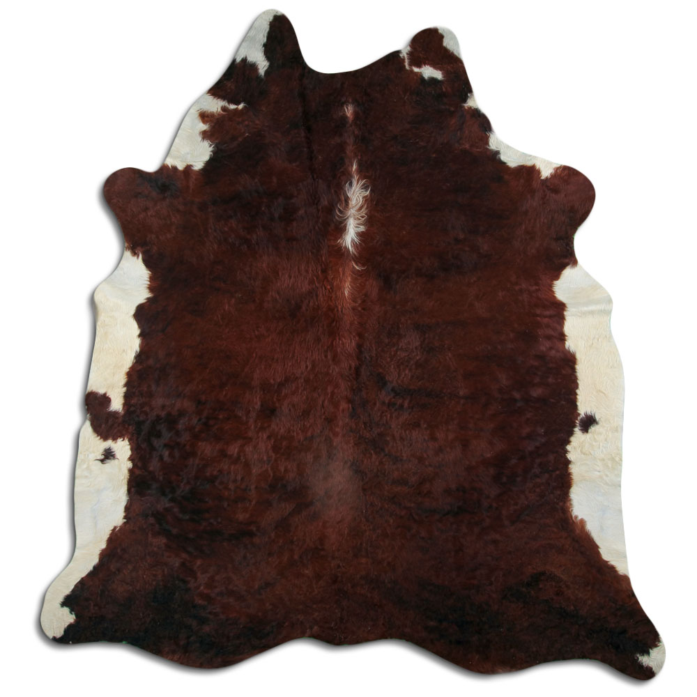 Exotic White Belly Backbone 3 - 4 M Grade A
