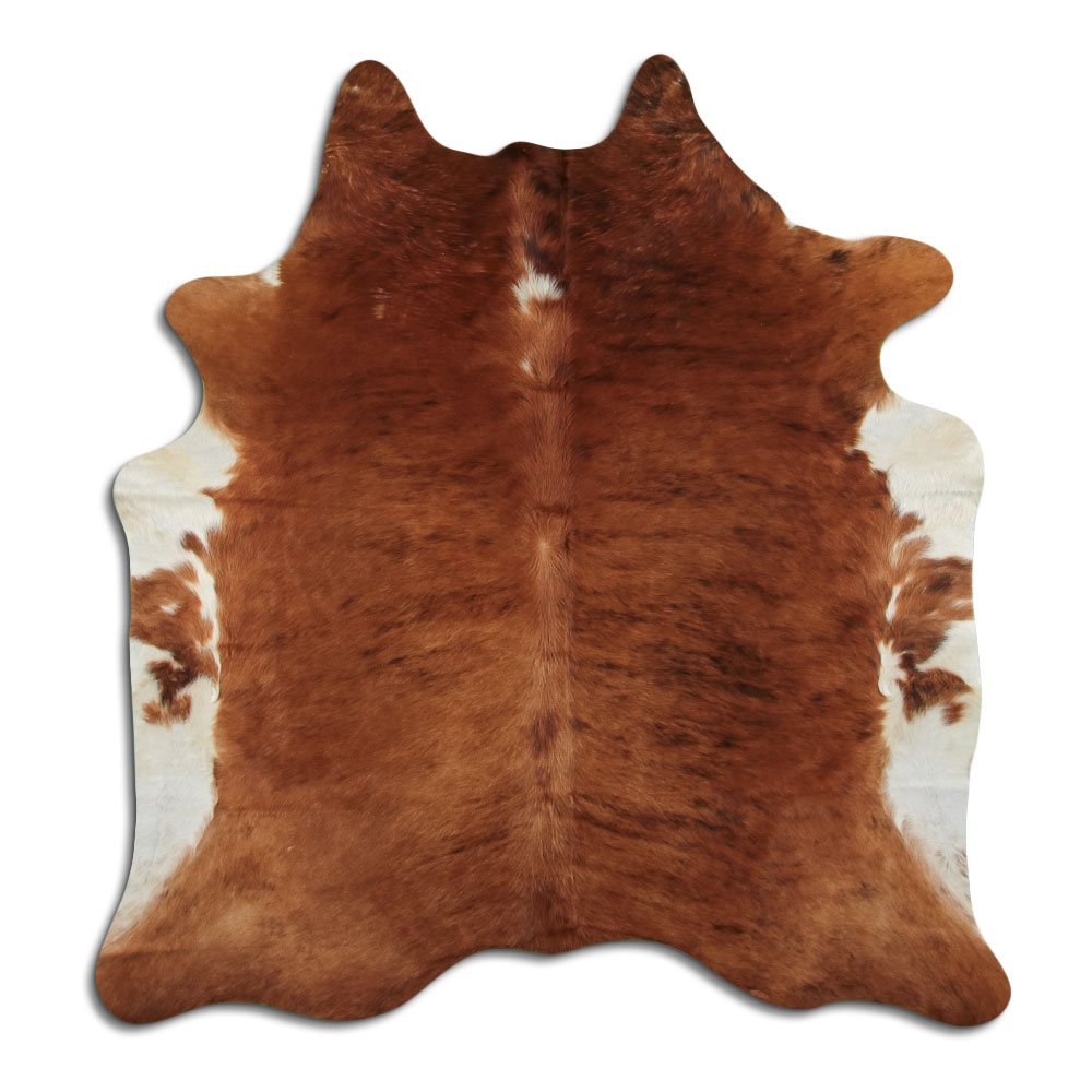 Exotico Lomo Y Barriga Blanca 3 - 4 M Clase A