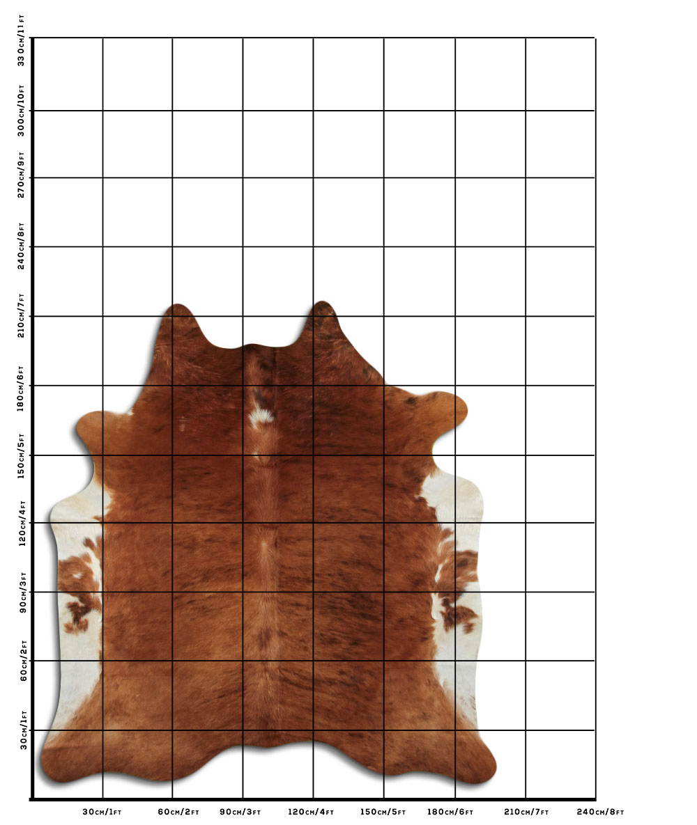 Exotico Lombo e Barriga Branca 3 - 4 M Classe A