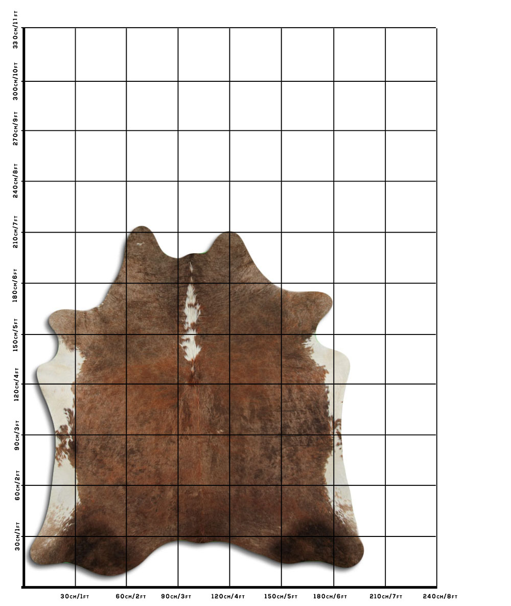 Exotico Lombo e Barriga Branca 3 - 4 M Classe A