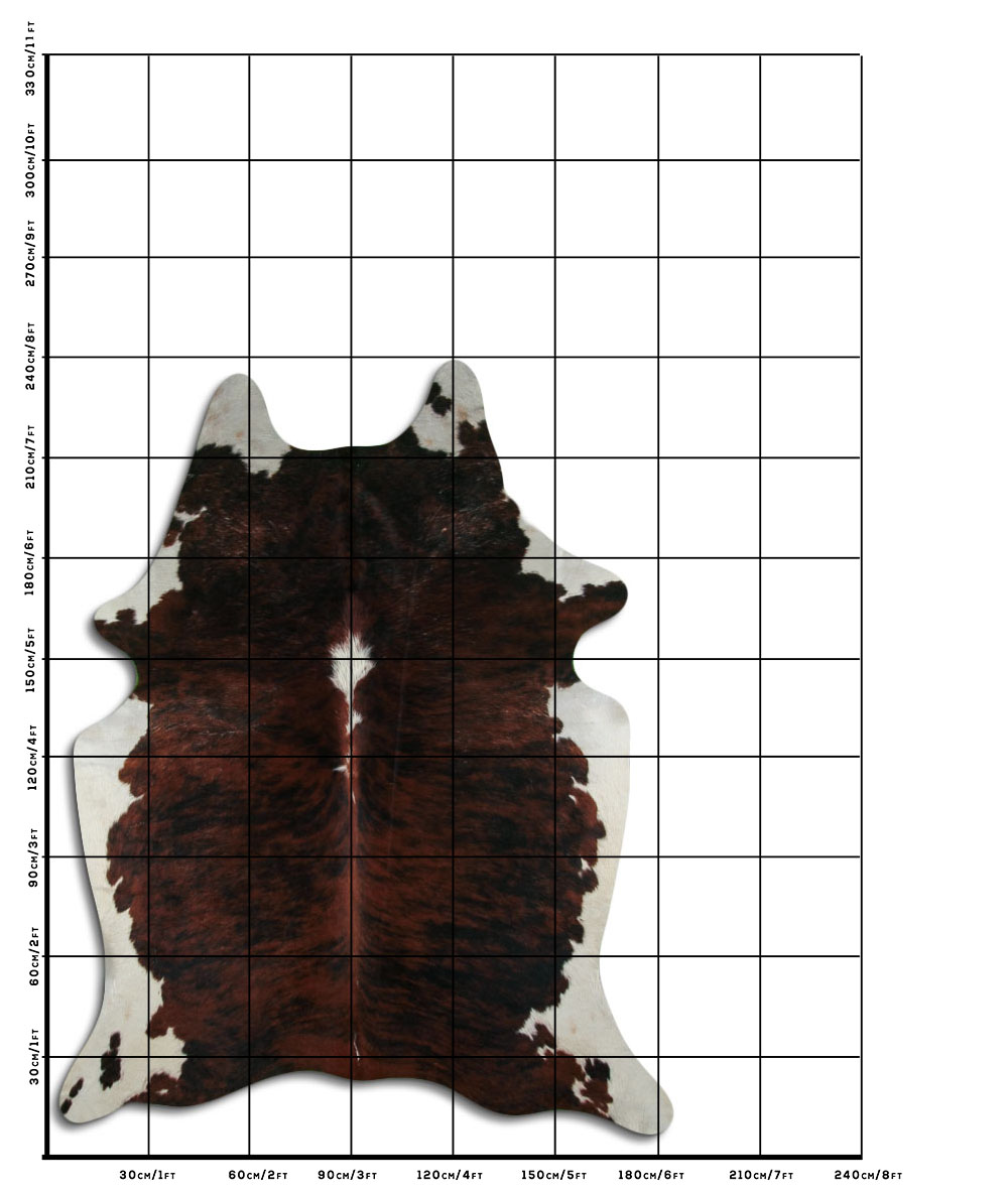 Exotico Lombo e Barriga Branca 3 - 4 M Classe A Exotico Lombo e Barriga Branca 3 - 4 M Classe A