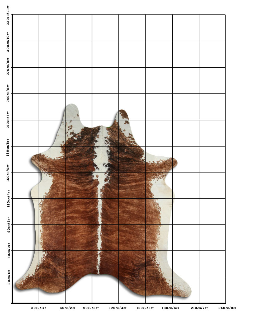 Exotico Lombo e Barriga Branca 3 - 4 M Classe A Exotico Lombo e Barriga Branca 3 - 4 M Classe A