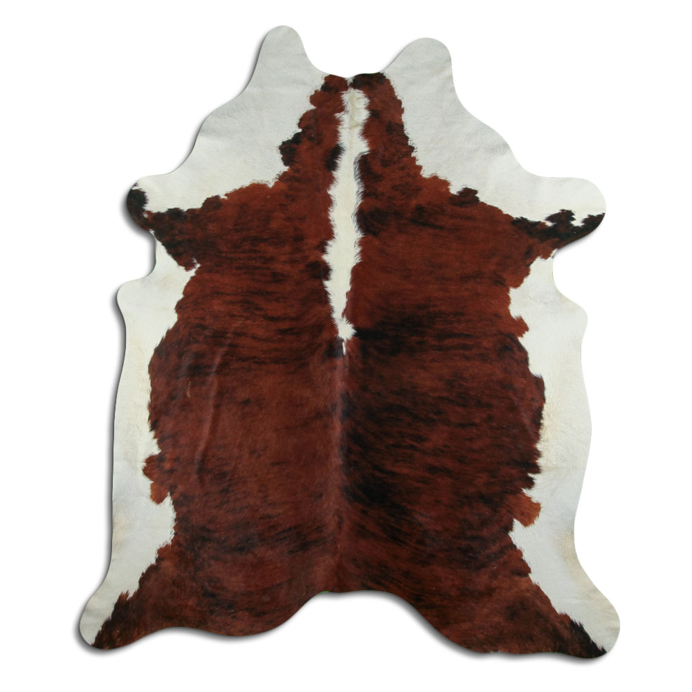 Exotico Lombo e Barriga Branca 3 - 4 M Classe A