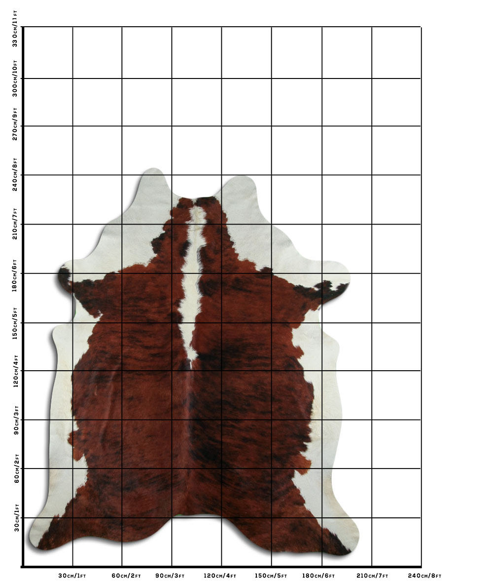 Exotico Lombo e Barriga Branca 3 - 4 M Classe A Exotico Lombo e Barriga Branca 3 - 4 M Classe A