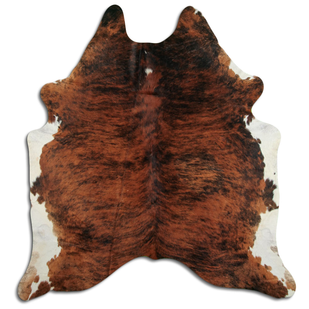 Exotic White Belly Backbone 3 - 4 M Grade A