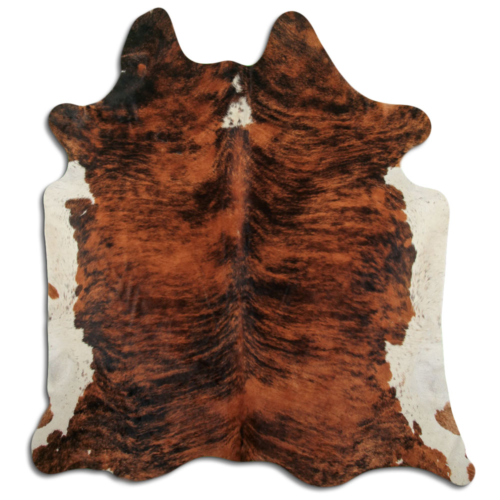 Exotic White Belly Backbone 3 - 4 M Grade A