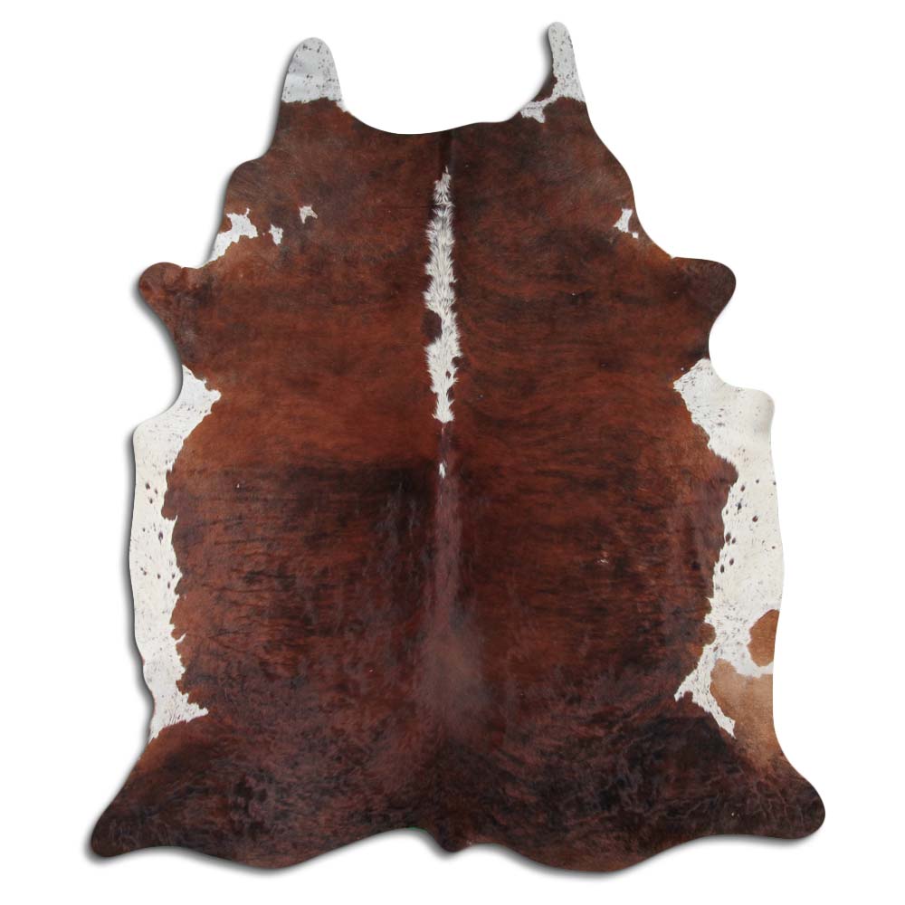 Exotic White Belly Backbone 3 - 4 M Grade B