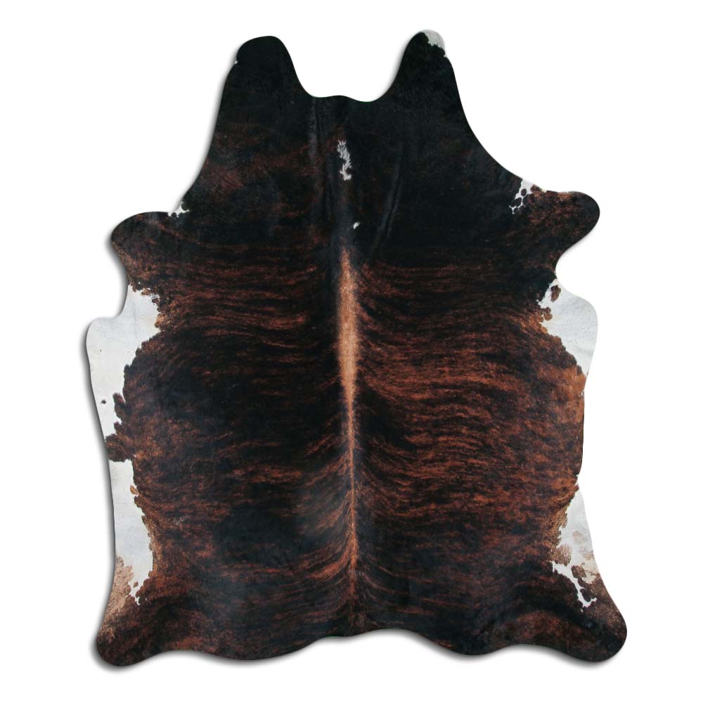 Exotic White Belly Backbone 3 - 4 M Grade B