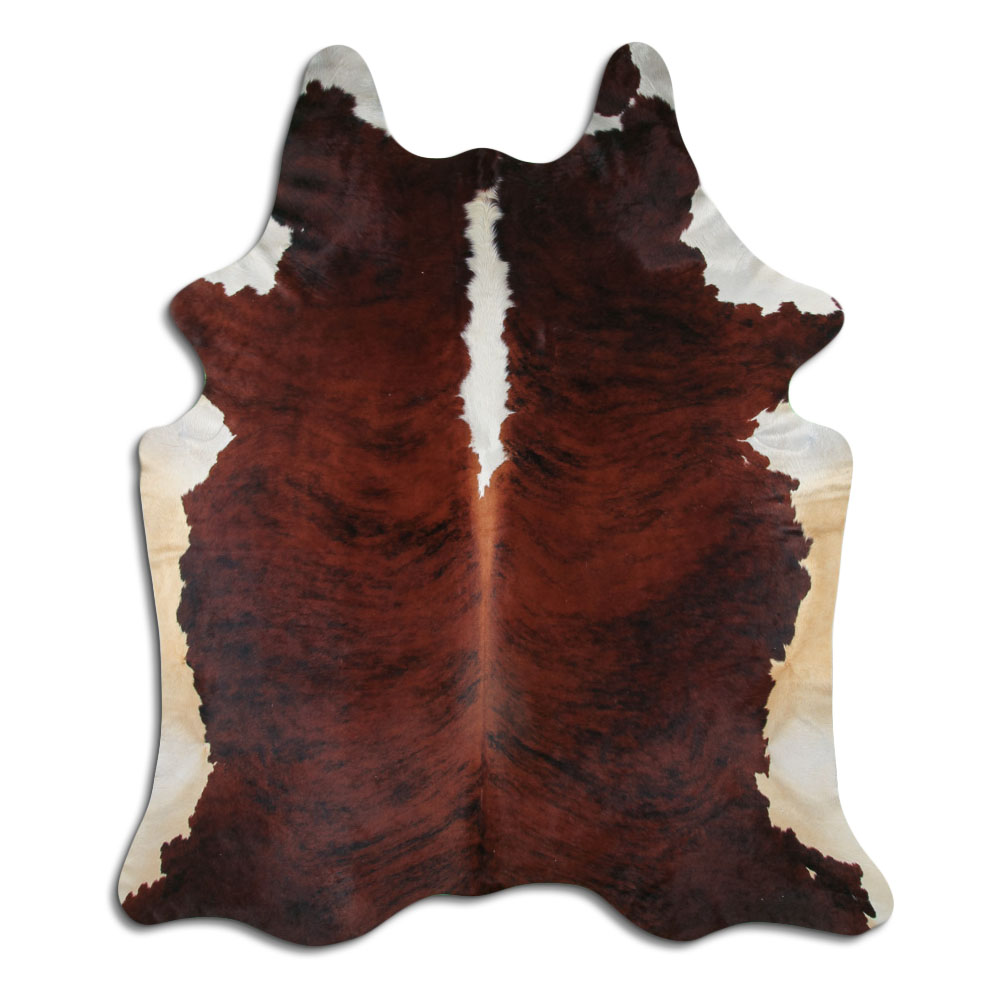 Exotic White Belly Backbone 3 - 4 M Grade B
