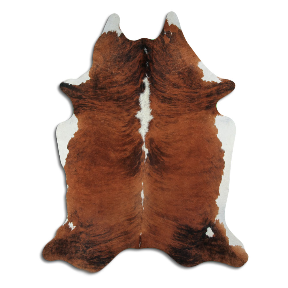 Exotic White Belly Backbone 3 - 4 M Grade B