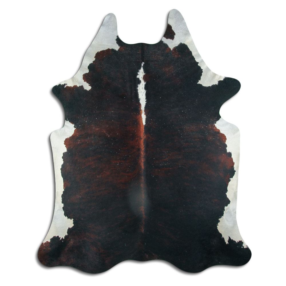 Exotic White Belly Backbone 3 - 4 M Grade B
