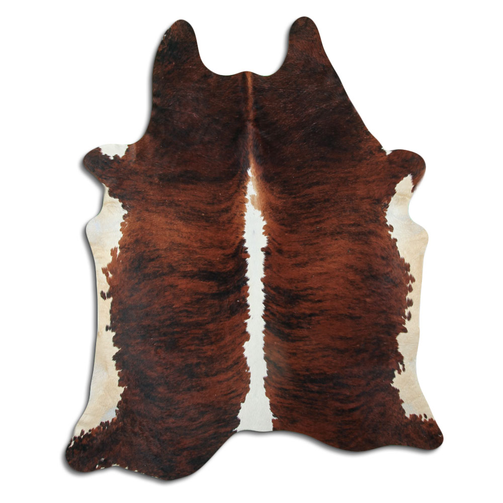 Exotic White Belly Backbone 3 - 4 M Grade B