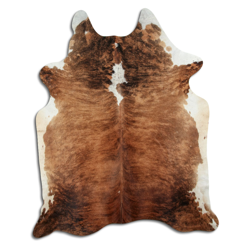 Exotic White Belly Backbone 3 - 4 M Grade B
