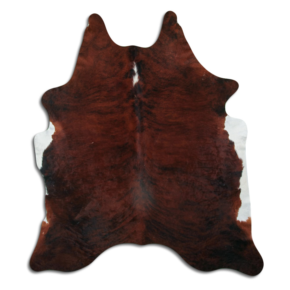 Exotic White Belly Backbone 3 - 4 M Grade B