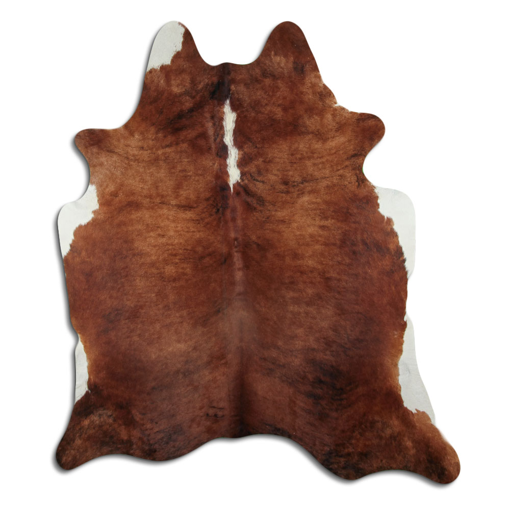 Exotic White Belly Backbone 3 - 4 M Grade B