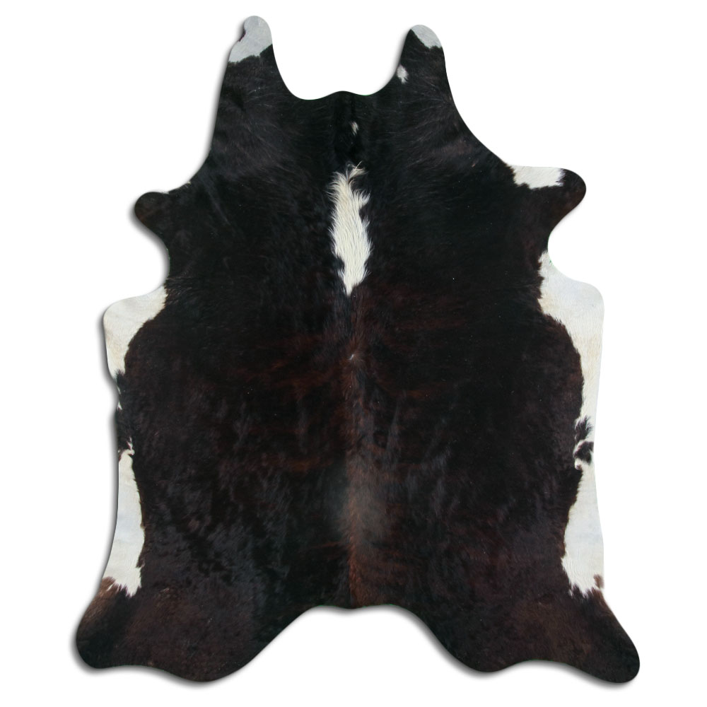 Exotic White Belly Backbone 3 - 4 M Grade B