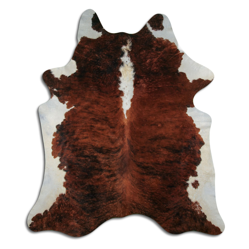 Exotico Lomo Y Barriga Blanca 3 - 4 M Clase B