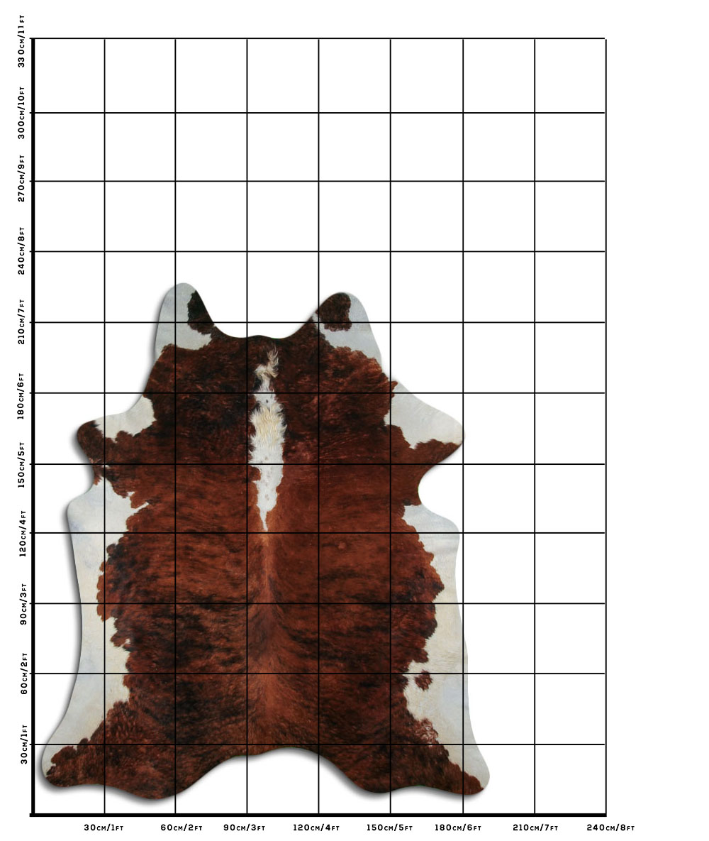 Exotico Lombo e Barriga Branca 3 - 4 M Classe B Exotico Lombo e Barriga Branca 3 - 4 M Classe B