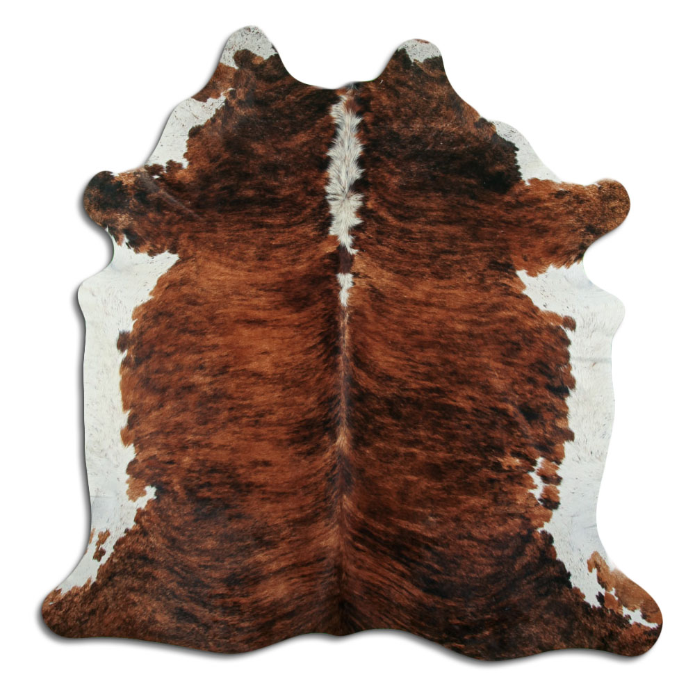 Exotico Lombo e Barriga Branca 3 - 4 M Classe B