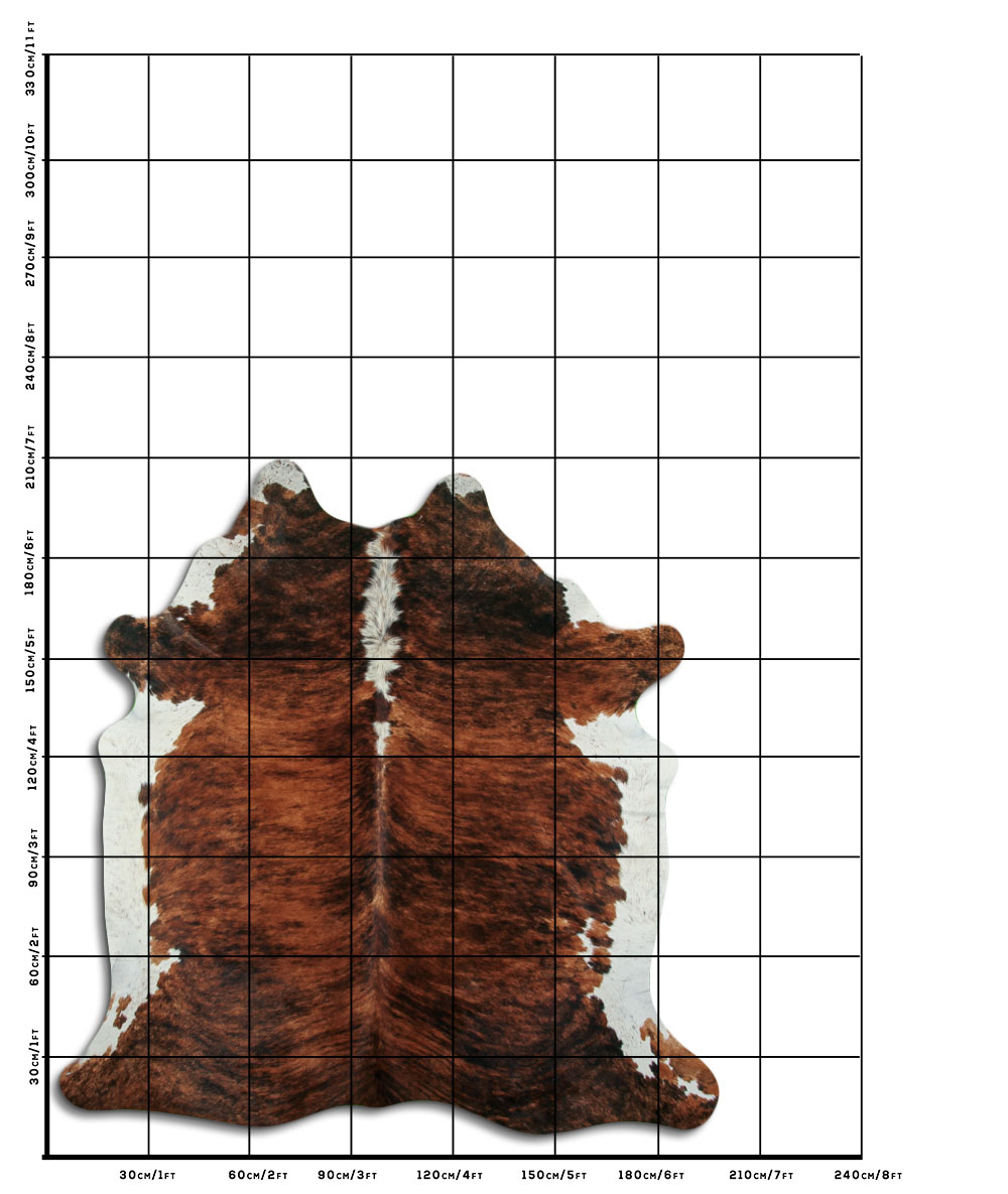 Exotico Lombo e Barriga Branca 3 - 4 M Classe B Exotico Lombo e Barriga Branca 3 - 4 M Classe B