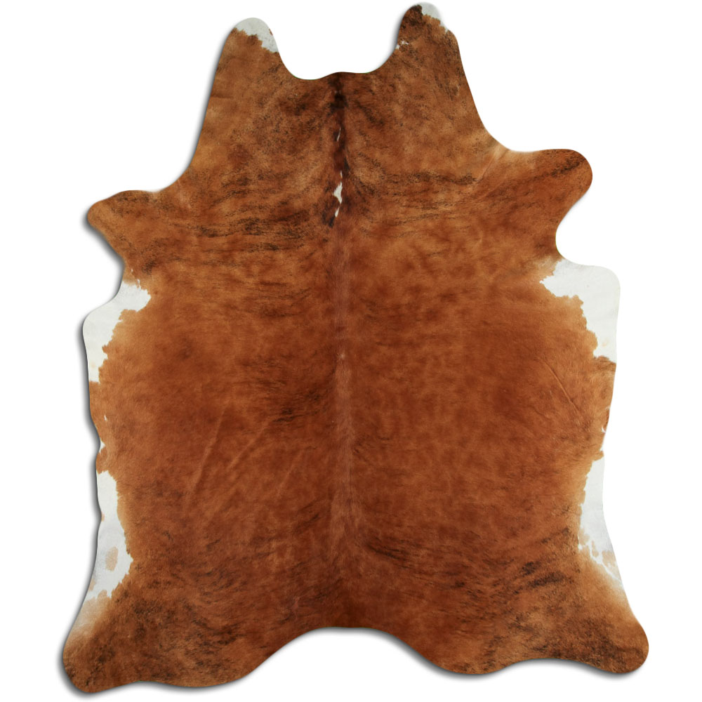 Exotic White Belly Backbone 3 - 4 M Grade B