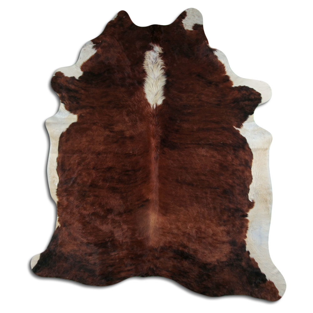 Exotic White Belly Backbone 4 M/+ (jumbo) Grade A