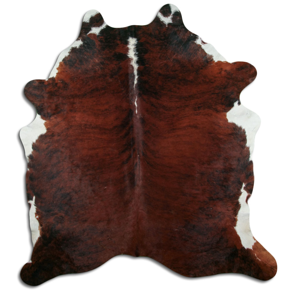 Exotic White Belly Backbone 4 M/+ (jumbo) Grade A