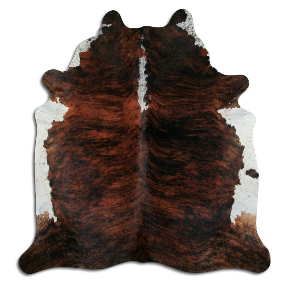 Exotic White Belly Backbone 4 M/+ (jumbo) Grade A