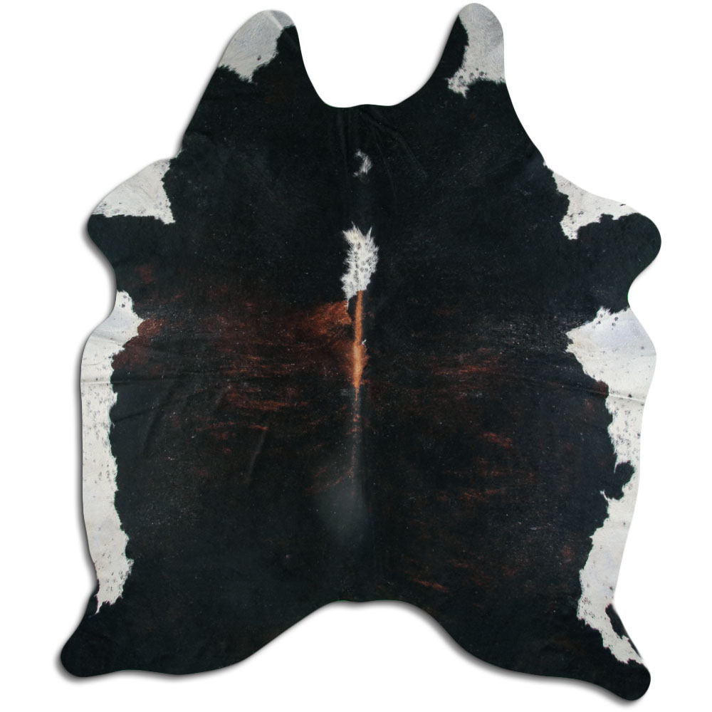 Exotic White Belly Backbone 4 M/+ (jumbo) Grade B