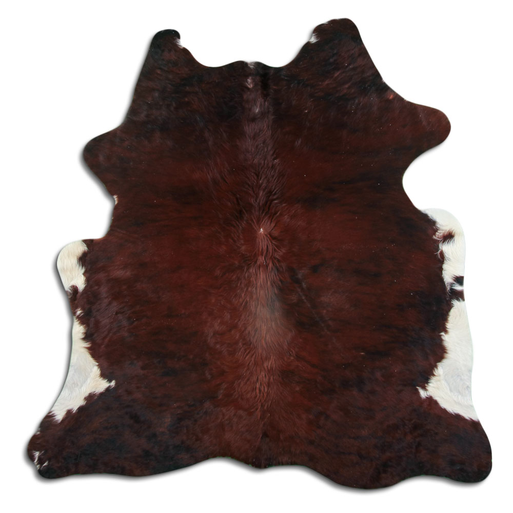Exotic White Belly 2 - 3 M Grade A