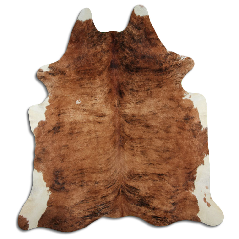 Exotico Barriga Branca 3 - 4 M Classe B