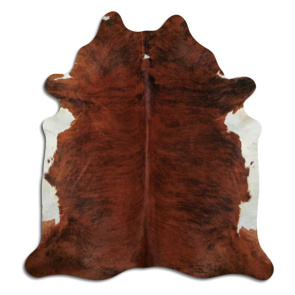 Exotic White Belly 4 M/+ (jumbo) Grade A