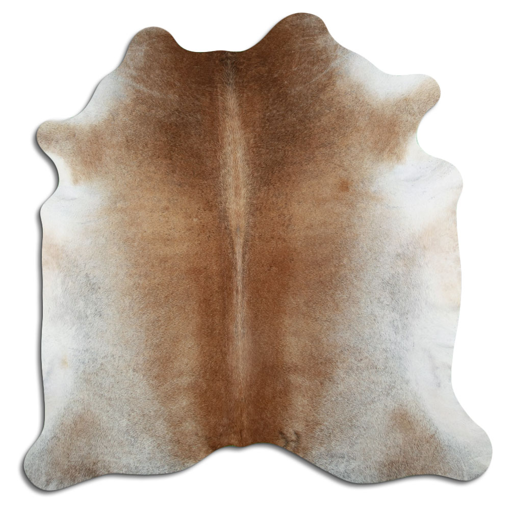 Cinza Tan 3 - 4 M Classe A